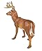 Safari Ltd. Whitetail Buck Figurine - Detailed 4.95