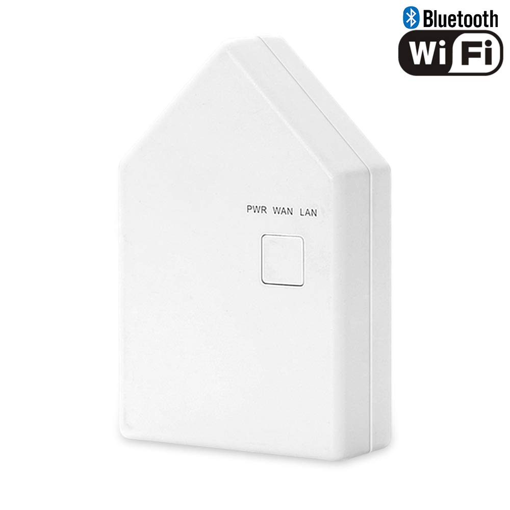 google home hub remote access