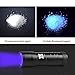 UV Torch, TechRise 12-Led LED UV Flashlight Pets Blacklight Dogs/Cats Urine Detector, Ultraviolet Flashlight Find Dry Stains on Clothes, Carpets or Floor