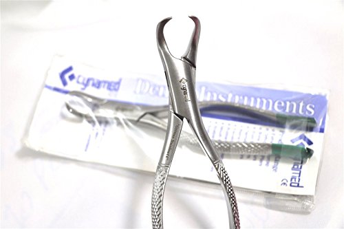 Premium German Dental Tooth Extracting Forceps No 23 Cow Horn Lower Molar Dental Instruments