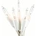 Everglow 2980-22 100 Clear White Wire Light Set primary