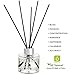 Creative Scents Classic Breeze Essential Oil Reed Diffuser Sticks in Gift Box, Aromatherapy-Grade Oils Blend, Natural Scented Diffusing Kit, Non-Toxic Home Spa Fragrance Diffuser Set, 75 ML/2.5 Oz
