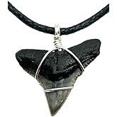 Sunken Hunter Fossilized Bull Shark Tooth Necklace for Boys on Adjustable Black Cord