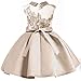 AYOMIS Flower Girl Pageant Dress Kids Party Embroidery Wedding Dresses 2-9 Years(Apricot,4-5Y)