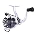 CS4 Spinning Reel,Cadence Ultralight & Fast Speed Carbon Frame Fishing Reel with 8 Low Torque Bearings Super Smooth Powerful Fishing Reel Spinning with 16 pounds Carbon Fiber Drag & 6.2:1 Gear Ratio