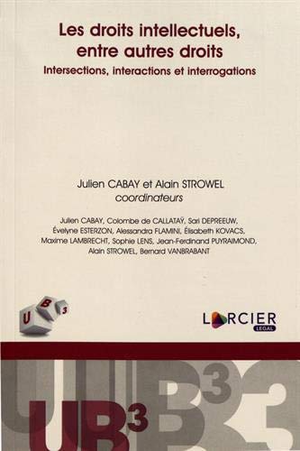 Les Droits Intellectuels Entre Autres Droits Intersections Interactions Et Interrogations Lsb Ub3 French Edition Cabay Julien Strowel Alain Vanbrabant Bernard De Callatay Colombe Depreeuw Sari Esterzon Evelyne Flamini Alessandra