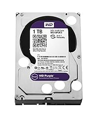 WD - Disco duro de vigilancia (1 TB, 5400 rpm, clase SATA, 6 Gb s, 64 MB de caché, 3,5 pulgadas), color morado