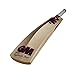 Gunn & Moore GM Haze Premium English Willow Cricket Bat - 2019 Edition (Haze 606, Haze Signature) Includes Extra GM bat Grip