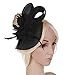 Anita Women's Fascinators Small Hairpin Feather hat (One Size, Black)