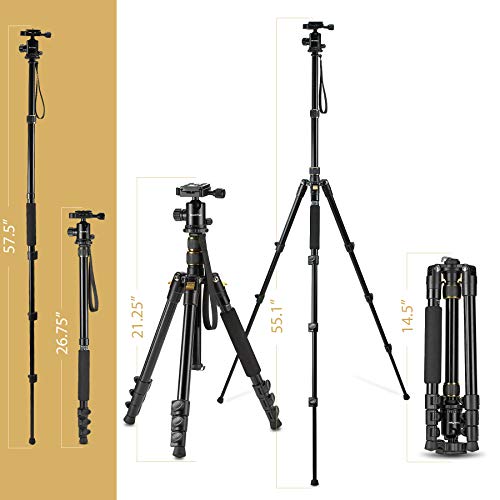 Professional Camera Tripod & Monopod – Portable Tripod Stand with 360° Ball Head – 57” DSLR Tripod for Video – Lightweight Aluminum Travel Tripod - Thumbnail 6