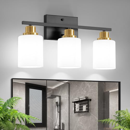 Ascher 3-Light Frosted Glass Vanity Light