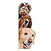 Removable 3D Cute Dog Cat Wall Sticker Switch Decal Mural Art Decor Poster Background Wallpaper (2#)
