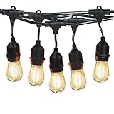 Salking 48Ft LED Outdoor String Lights, Decorative Globe Commercial Waterproof String Lights with 16 x 2W S14 LED Bulbs, Connectable Lights for Patio Garden Wedding Party Christmas (Double Fuse)