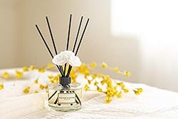 CULTURE & NATURE Reed Diffuser 6.7 oz
