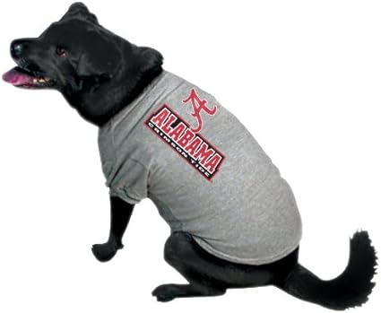 raiders dog jersey