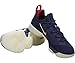 Nike Lebron XIV Low Mens Basketball Shoes