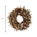 ZUCKER Natural Pheasant Feather Christmas Wreath - 15