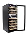 HOMEIMAGE DUAL-ZONE Thermal Electric Wine Cooler with Stainless Steel Door & Wooden Rack for 27 Bottles - HI-27SS