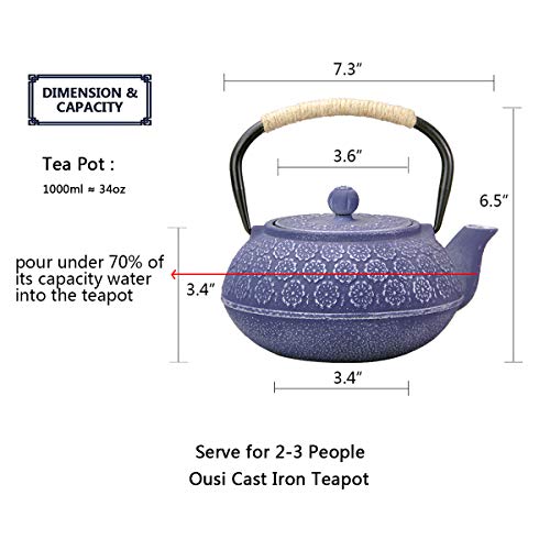 Cast Iron Teapot, Japanese Style Tetsubin, Tea Kettle with Removable Stainless Steel, Internal