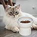 Raised Cat Bowl, Elevated Cat Food Bowls Water Bowl with stand Ceramic Cat Feeding Bowls Stress Free Pet Food & Water Bowls