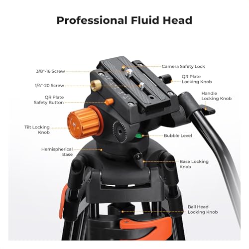 K&F CONCEPT 80"/202cm Video Tripod with Fluid Head, Aluminium Alloy Heavy Duty Camera Tripod with QR Plate, Compatible with Canon/Nikon/Sony Camera, Camcorder, Load Capacity 8kg