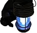 Decorative Energy Saving Dalmatian Dog with Lantern Solar Light
