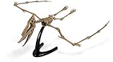 Geoworld Jurassic Eggs Dsungaripterus Skeleton Assembly Set