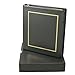 Blumberg Black Beauty Corporate Kit with PDF Corporation Minutes & Bylaws, Records Binder, Corporate Seal, Printed Certificates with Stubs and More (Black)