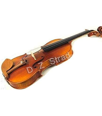 viola Amazon.com: D'Luca JS900VA Antique Full Size Viola : Musical