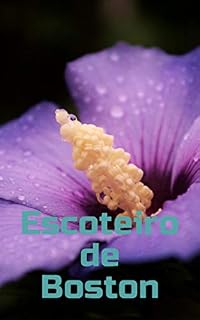 Livro Escoteiro de Boston