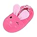 Beeliss Toddler Girls Slippers Cartoon Plush Warm Shoes (4-5 M US Toddler, Rose)
