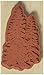 Inkadinkado Pine Tree Wood Stamp for Arts and Crafts, 2.5'' W x 1.5'' L