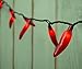 Lee Display Red Chili Pepper Lights 35 Chili Bulbs 3'' Spacing Green Wire 11' Length Red Chili Pepper Lighting Vegetable Lights Christmas Mini Steady Green String Lights (Red Chili)