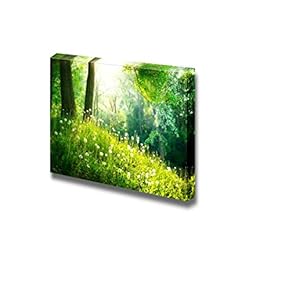Canvas Prints Wall Art - Spring Nature Beautiful Landscape with Green Grass and Trees | Modern Wall Decor/Home Decoration Stretched Gallery Canvas Wrap Giclee Print & Ready to Hang - 12" x 18"