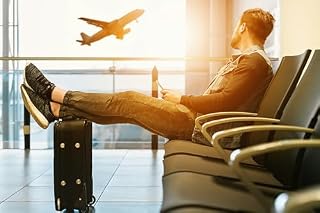 Livro O Livro dos Viajantes: O que as agências de turismo, intercâmbio e internacionalização têm em comum