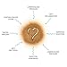 Organic Ceylon Cinnamon Ground Powder - 1 pound - 100% Organic, Non GMO, Highest Quality