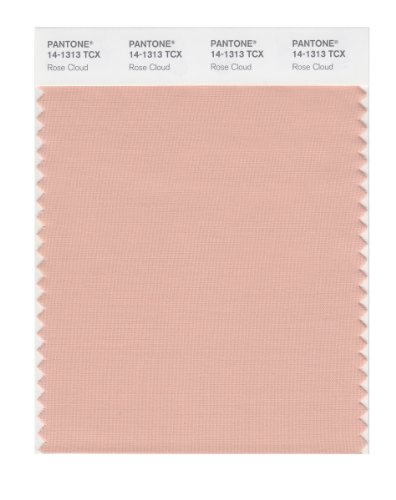 PANTONE SMART 14-1313X Color Swatch Card, Rose Cloud