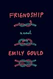 Friendship: A Novel