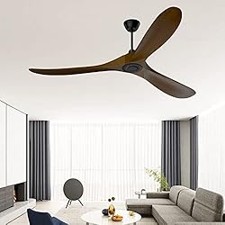 CLUGOJ Ceiling Fan, Outdoor Ceiling Fan with Remote