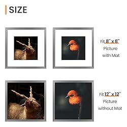 upsimples 12x12 Picture Frame, Display Pictures 8x8