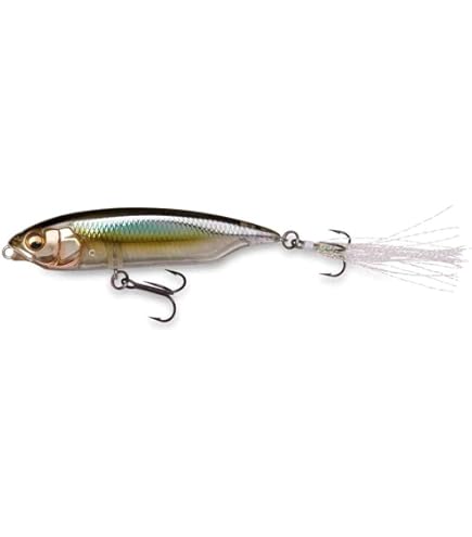 Amazon.com : Shimano CURADO BFS Low Profile Reels (CUBFSXGR) Fishing :  Sports & Outdoors