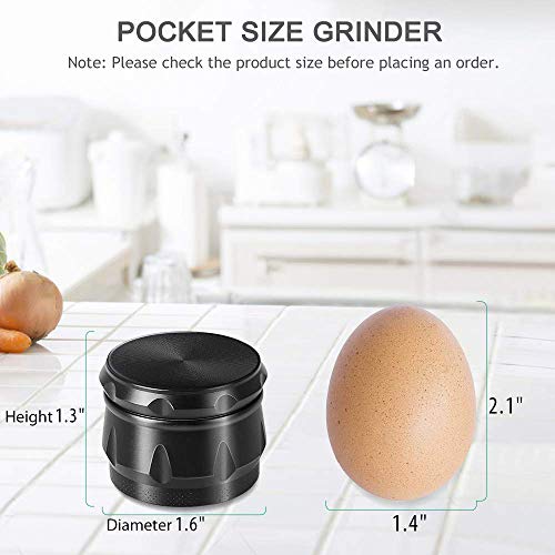 iRainy 1.6 Inch 4 Pieces Spice Herb Grinder G2 Pocket Size Small Tiny Grinder with Pollen Catcher (Black)