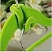 Drhob 6PCS New Mini Home Creative Flocking Clothes Hanger Hook Closet Organizer Random Color
