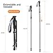 Sahara Sailor Hiking Pole, High-Z Collapsible Trekking Walking (Black)