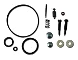 Briggs & Stratton 494349 Carburetor Overhaul Kit