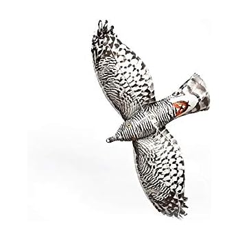 Flying Falcon Bird Diverter Bird Of Prey Bird Scare Device