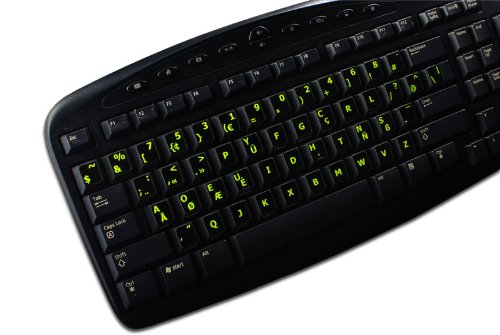 GLOWING FLUORESCENT PROGRAMMER DVORAK NEW KEYBOARD LABELS
