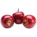 FloraCraft 15 Piece Decorative Mini Fruit Red Apple