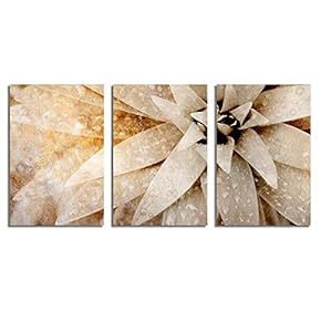 Canvas Wall Art Abstract Vintage Style...