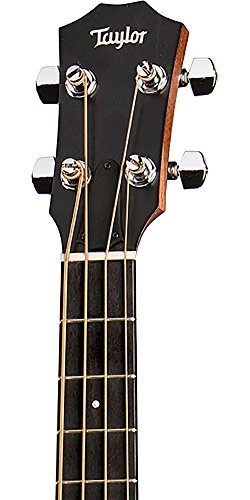 4 Taylor+GS+Acoustic+Electric+Bass+Regular
